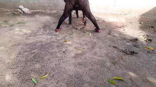 I humiliated my dirty maid I spurred and peed on the emotional woman's body