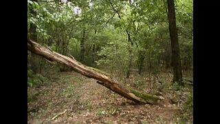 Topf sklaven (Full Movie)
