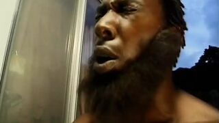 The Black Stallion