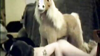 gay furry fucks his life size toy pony