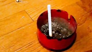 Hot Ebony GirlLicks Dick While Having A Cigarette