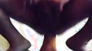 sticking a gourd up my ass