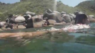 hardcore outdoor anal copulating