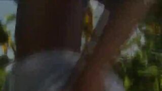 Masturbation in sunflowers