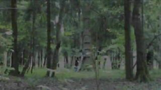 Adventure blowjob in the forest