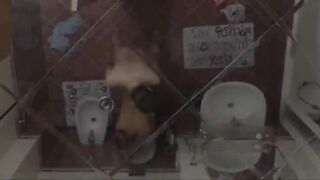 Ivanas morning fucking in the bathroom