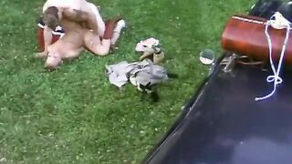 Adventurous Blonde Teen Spreads Legs For Stiff Boner Outside