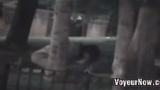 Spying On People Fucking At Night