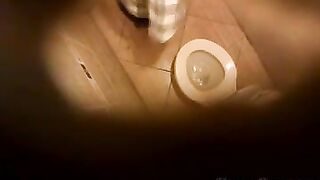 Hidden Camera Above The Toilet
