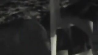 Naughty Couple At Night