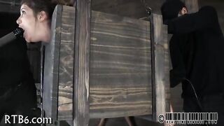 Taming a leather pet