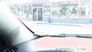 Dixie Belle blows for a ride in a car