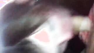 Amateur brunette Blowjob fun