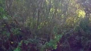 Jodys Sexcapades In Natural Environments
