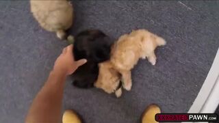 Cute blonde gives her pussy and get fucked for big cash