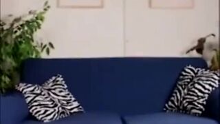 SLutty MILF gets seduced by her horny student