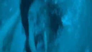 Beautiful Actress Rides Male At Pool And Bed