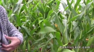 Busty Czech babe fucks in corn field for money