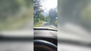 Sex in the Car with a Beautiful, Sexy Stranger