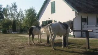 Double penetration party (Full Movie)